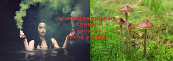 ALPHA-PVP Алексин