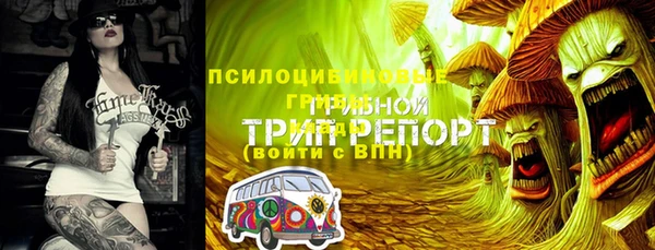 прущая мука Алзамай