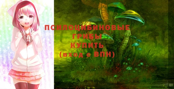 PSILOCYBIN Алексеевка